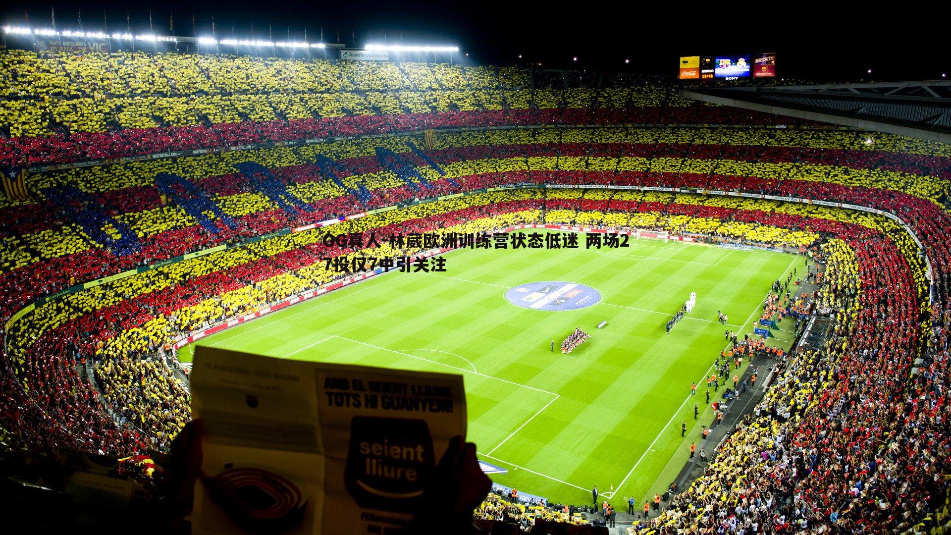 林葳欧洲训练营状态低迷 两场27投仅7中引关注